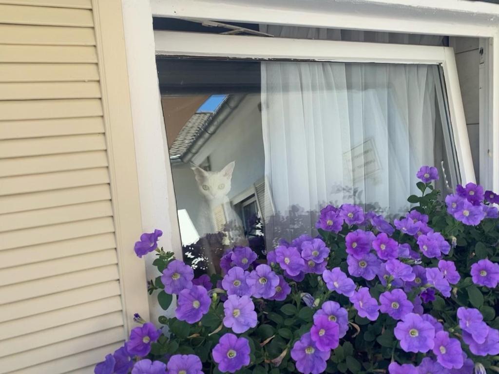 Wilsmann Apartmentvermietung Хёфельхоф Экстерьер фото